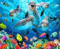 Стая дельфинов в морской глубине