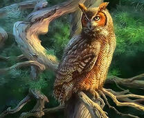 Филин на сухой ветке