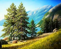 Ели на обрыве у Черного моря