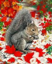 Белочка в осенней листве