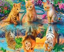 Мечты трех милых котят