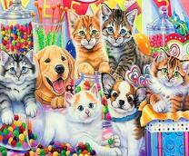 Котята и щенки среди конфеток