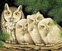 Семейство любопытных сов