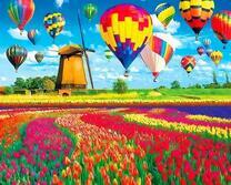 Полет воздушных шаров над тюльпанным полем
