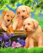 Щенки на бревне возле цветов