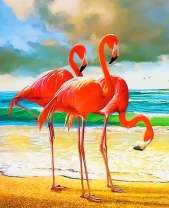 Три розовых фламинго на берегу моря