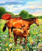 Лошадь с жеребёнком и полевые цветы