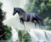 Черный конь бежит по реке
