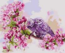 Влюбленные филины на цветущей яблоне