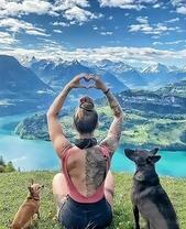 Медитация в горах с собачками