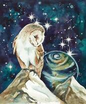 Белая сова под звёздами