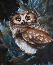 Красивая сова в кроне дерева