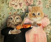 Совёнок - скрипач и кошка - певица
