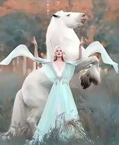 Беловолосая девушка и ее сильный скакун