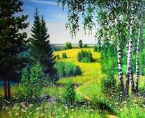 Красочные летние холмы