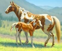 Красивая лошадь и жеребенок на летней дороге