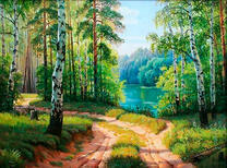 Вид на реку с лесной дороги