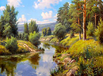 Небольшая река с хвойным лесом на берегу