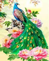 Яркий павлин и розы