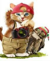 Котенок-фотограф и сова