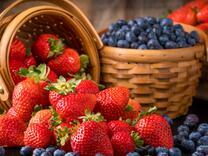 Большой урожай клубники и голубики