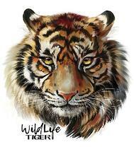 Большой тигр крупным планом