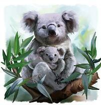 Маленький коала с мамой на дереве