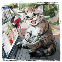 Котёнок на ноутбуке