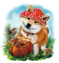 Щеночек и летний урожай