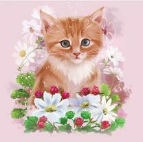 Рыженький котёнок в ромашках