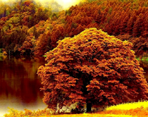 Осень красивый осенний пейзаж