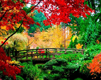 Деревяный мостик в осенних деревьях