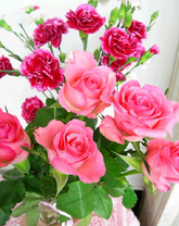 Букет из розовых роз и гвоздик