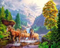 Стадо горных лошадей на реке