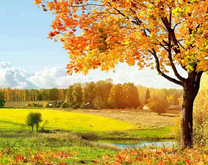 Незабываемый осенний пейзаж