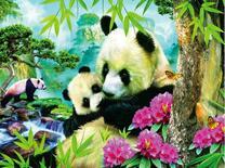 Панды в цветущих джунглях