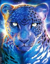 Леопард в серебристом сиянии луны