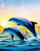 Красивые дельфины на фоне рассвета