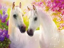 Две белых лошади в весеннем саду