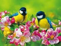 Цветущая яблоня и две синички