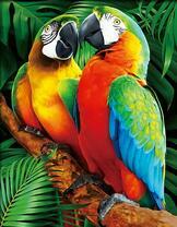 Красивые ара на дереве в джунглях