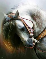 Чудесная лошадь