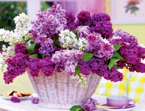 Букетик пышной сирени в корзинке