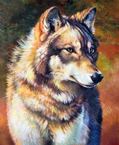 Серый волк на рыжем фоне