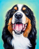 Портрет любимого питомца