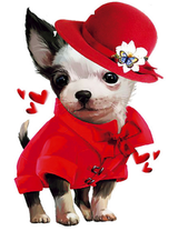 Милый щенок в красном наряде со шляпкой