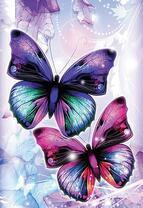 Перламутровые бабочки