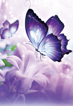 Фиолетовый мотылек на цветке