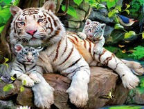 Белая тигрица с тигрятами