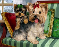 Мама со щеночком на диване